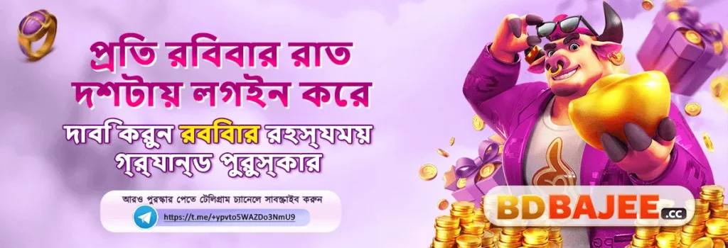BDBajee download guide for beginners